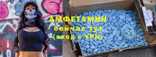 амф Инта