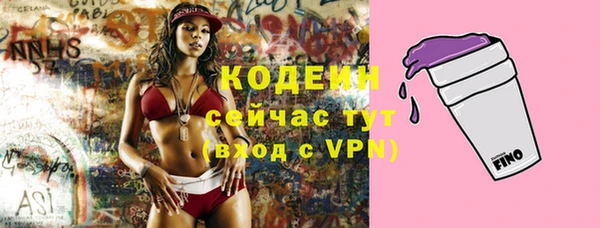 амф Инта