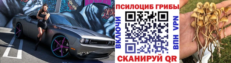 Галлюциногенные грибы Cubensis  Купить где  Называевск 