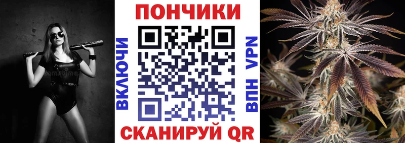 Бошки марихуана ГИДРОПОН  Купить где  Называевск 